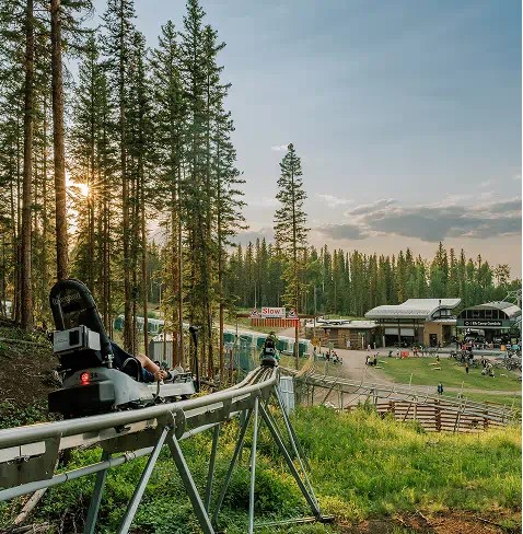 Alpine coaster at Elk Camp